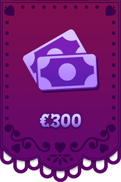 Dokonaj wpłaty 300 €