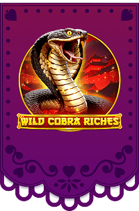 Zagraj w Wild Cobra Riches