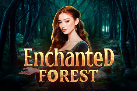 Enchanted Forest